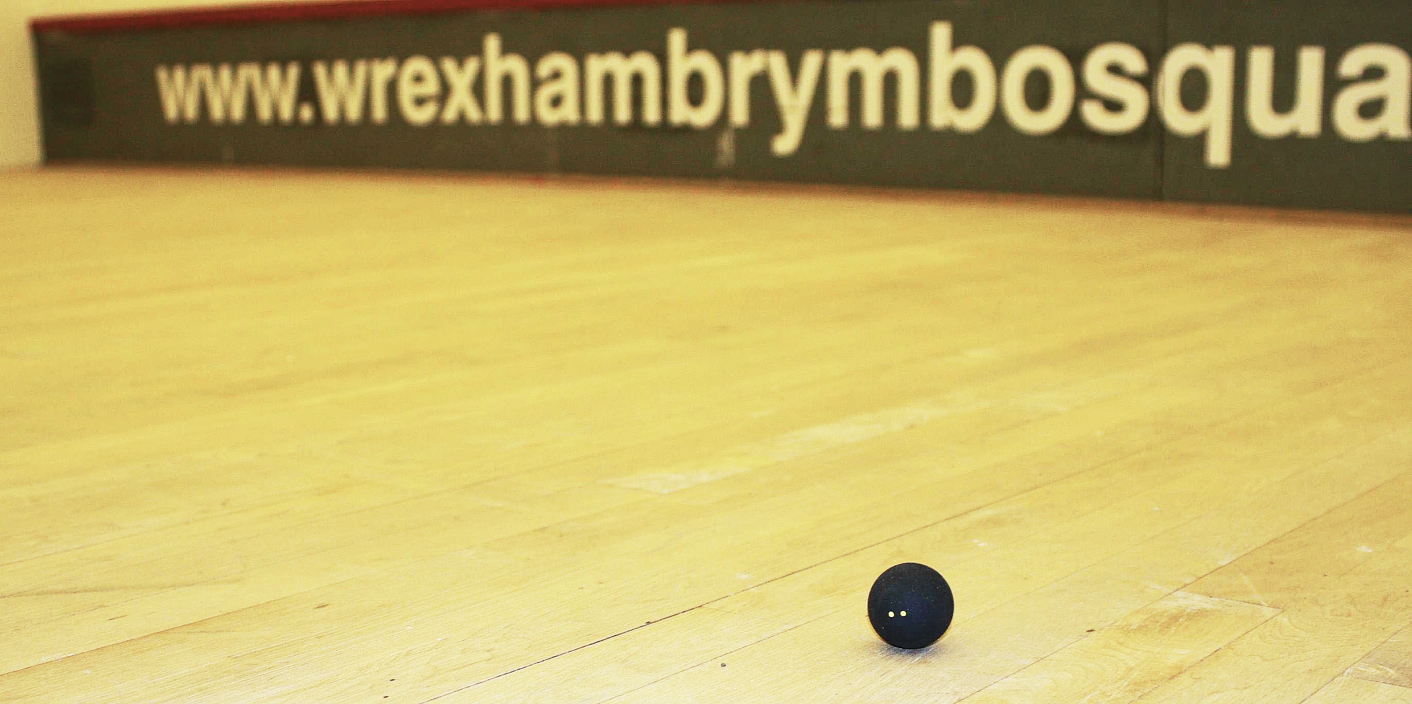 Play Squash